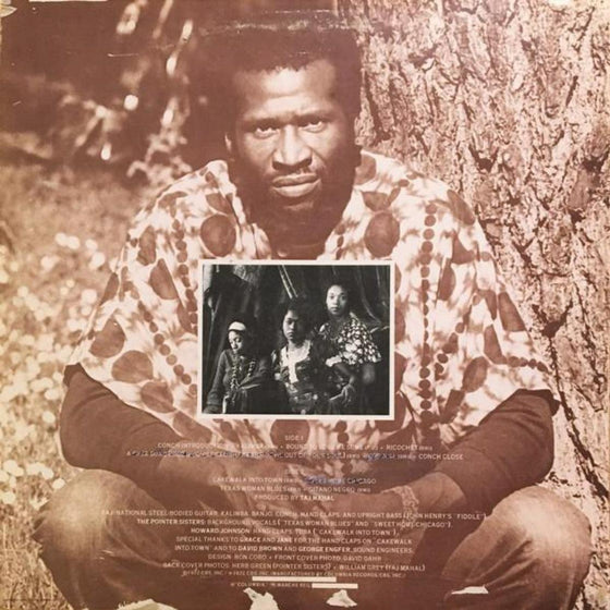 Taj Mahal - Recycling The Blues & Other Related Stuff (2LP, 45RPM) - AudioSoundMusic