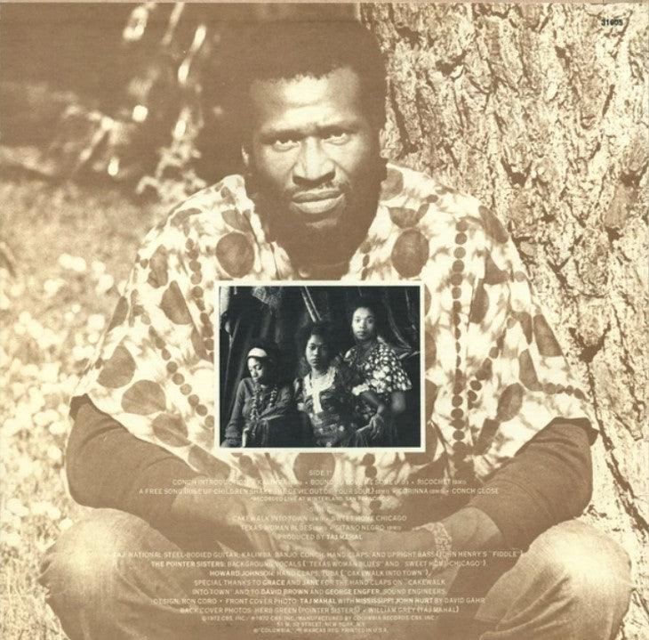 Taj Mahal/Recycling The Blues & Other Related Stuff/英Org.｜レコード