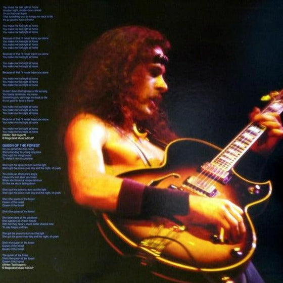 Ted Nugent (1LP, 180g, 33RPM) - AudioSoundMusic