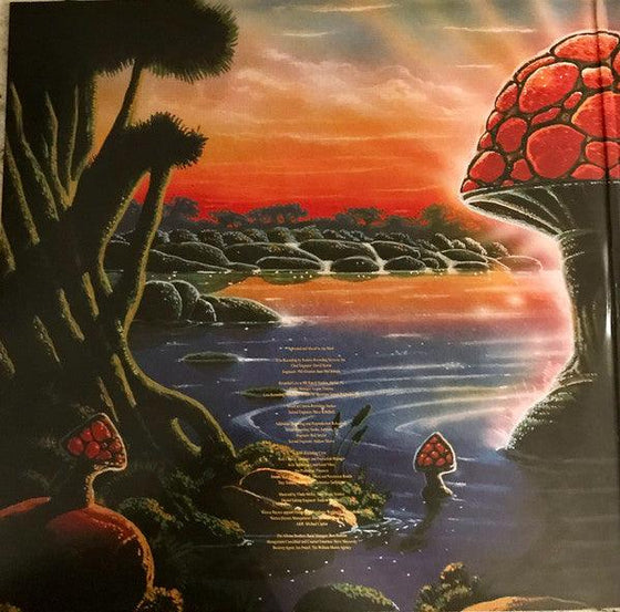 The Allman Brothers Band - Where It All Begins (2LP, Translucent Blue & Black Swirl vinyl) - AudioSoundMusic