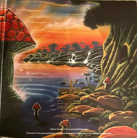 The Allman Brothers Band - Where It All Begins (2LP, Translucent Blue & Black Swirl vinyl) - AudioSoundMusic