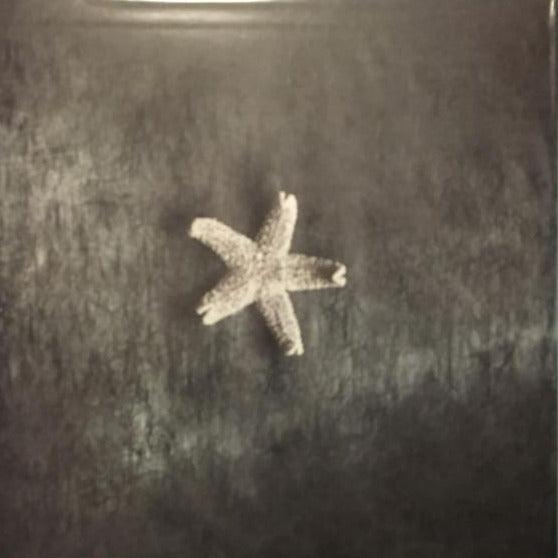 The Church - Starfish (2LP, Expanded Edition) - AudioSoundMusic