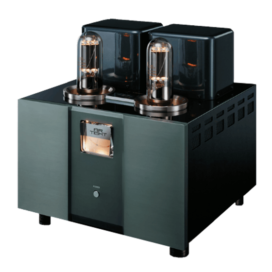 VACUUM TUBE POWER AMPLIFIER AIR TIGHT ATM-3211 MONO (two units) - AudioSoundMusic
