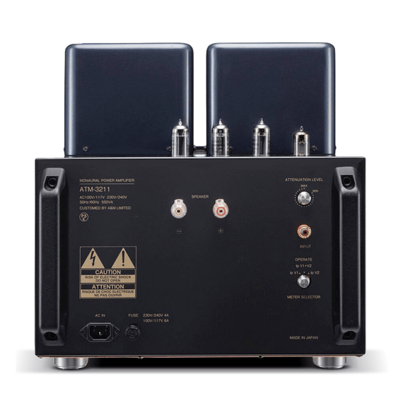 VACUUM TUBE POWER AMPLIFIER AIR TIGHT ATM-3211 MONO (two units) - AudioSoundMusic